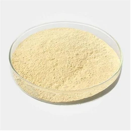 Xanthan Gum
